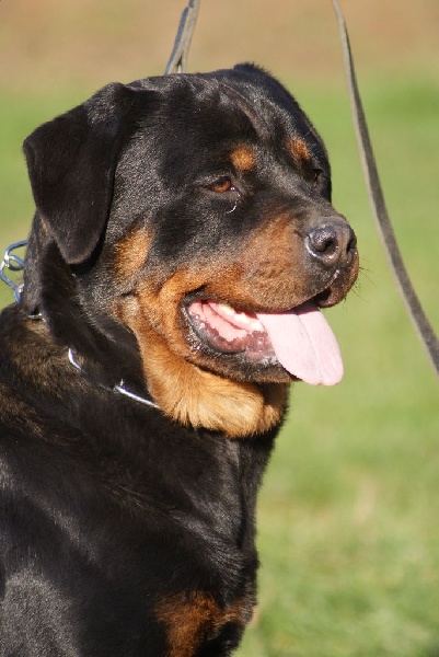 Loo-phok du Domaine de la Rêverie